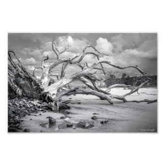Foto "Foto Impressa 'Island Beach"