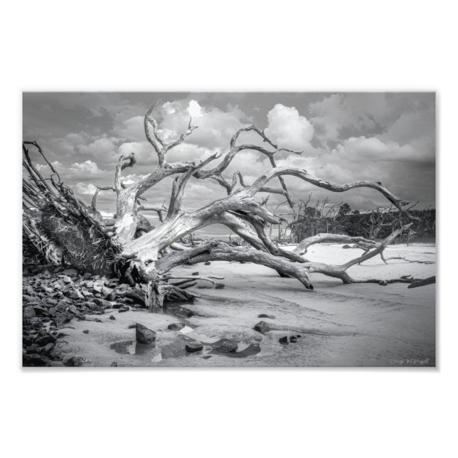 Foto "Foto Impressa 'Island Beach" (Frente)