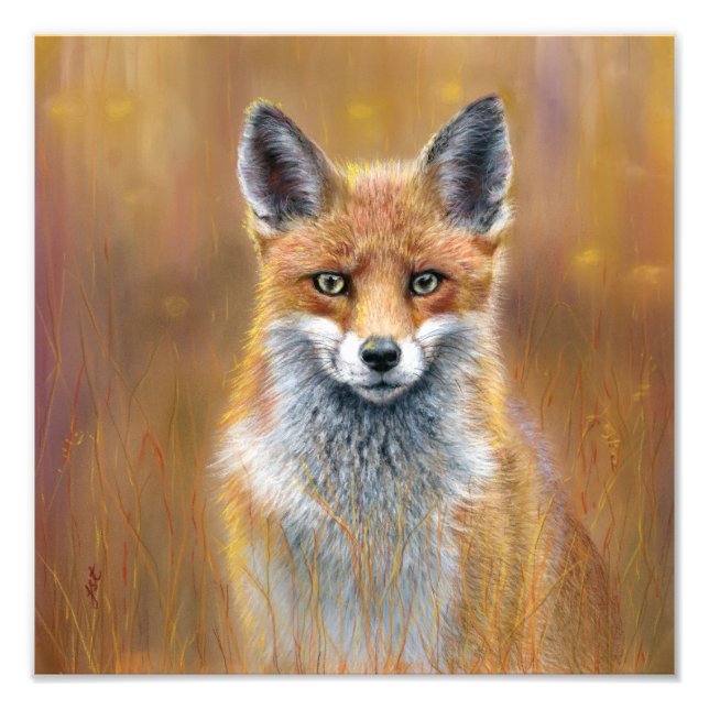 Foto Fox poster (Frente)