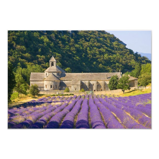 Foto França, Gordes. Mosteiro cisterciense de (Frente)