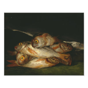 Foto Francisco Goya - A Vida Estática com o Ouro Bream