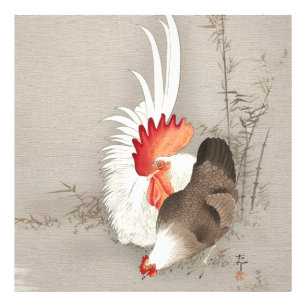 Foto Frango e Galo por Ohara Koson