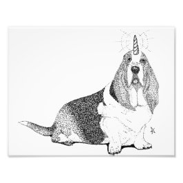 Foto Fred Bassetcorn