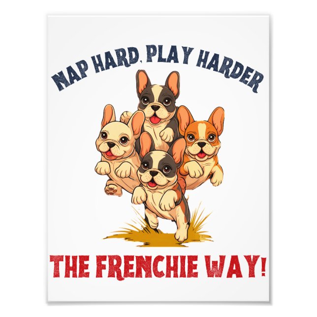 Foto Frenchie French Bulldog Dog (Frente)