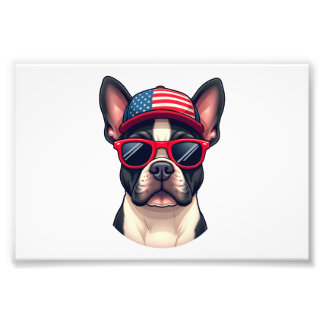 Foto Frenchie Wearing USA Colors (4)