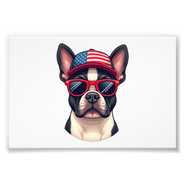 Foto Frenchie Wearing USA Colors (4) (Frente)