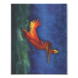 Foto From Water Print