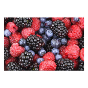 Foto Fundo da Fruta da Floresta