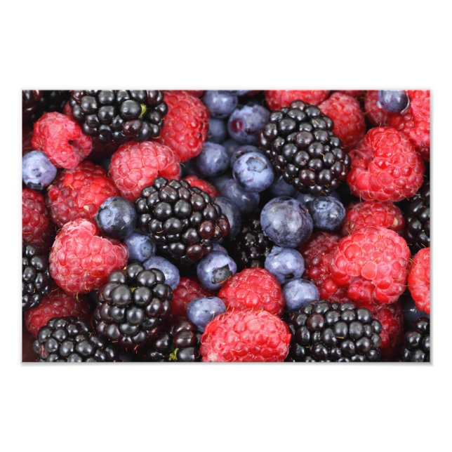 Foto Fundo de Frutas da Floresta (Frente)