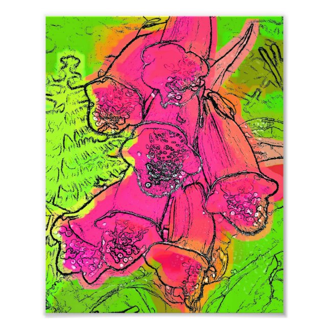 FOTO FUXGLOVAS (Frente)