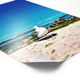 Foto Gaivota Solitária