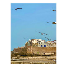Gaivotas e a Cidade. - Essaouira, Marrocos