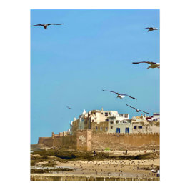Foto Gaivotas e a Cidade. - Essaouira, Marrocos