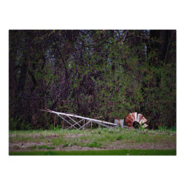 Foto Gale me empurrou