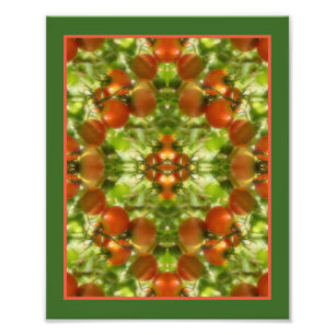 Foto Garden Cherry Tomates Nature Mirror Abstrato 8x10