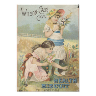 Foto Gatinhas Que Pegam Flores Ephemera
