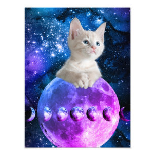 Foto Gatinho Bonito Na Lua Brilhando Estrelas Universo 