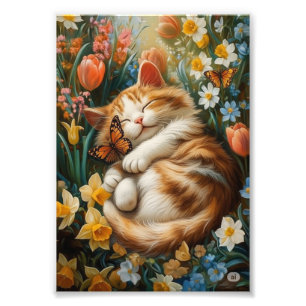 Foto Gatinho Bonito nas Flores da primavera - Dia perfe