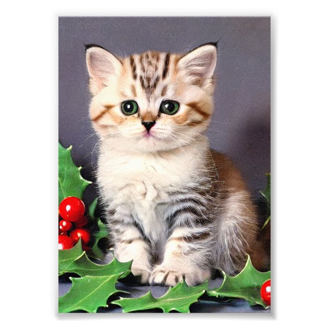 Foto Gatinho de Natal Vintage e Azevinho (Frente)