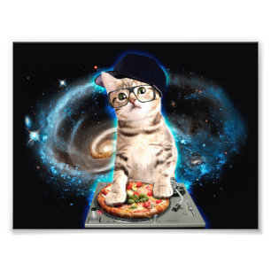 Foto gatinho dj cat