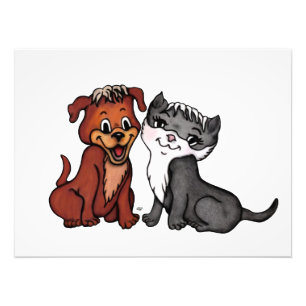 Foto Gatinho e Copo