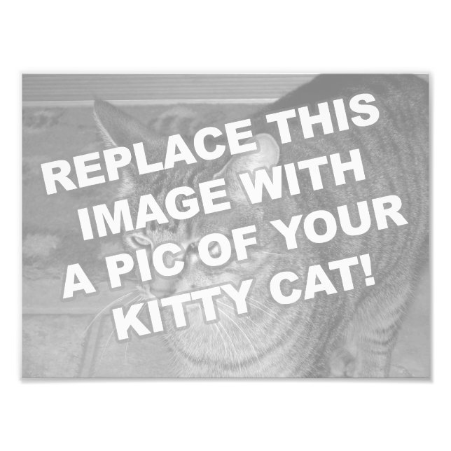 Foto Gatinho Kitty Personalizado (Frente)