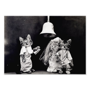 Foto Gatinho Wedding