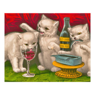 Foto Gatinhos bebendo e comendo peixe-sardinha