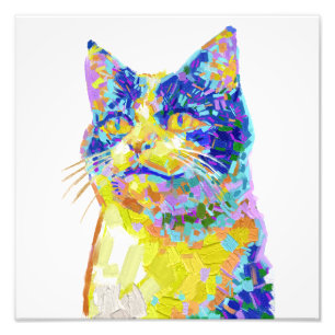 Foto Gato à luz do sol