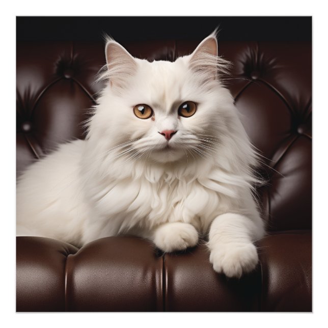 Foto Gato branco majestoso (Frente)