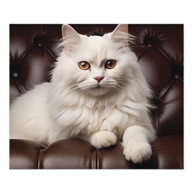 Foto Gato branco majestoso (Frente)