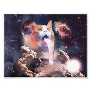 Foto Gato de cachoeira