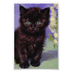 Foto Gato de estilo Van Gogh com Flores Brancas