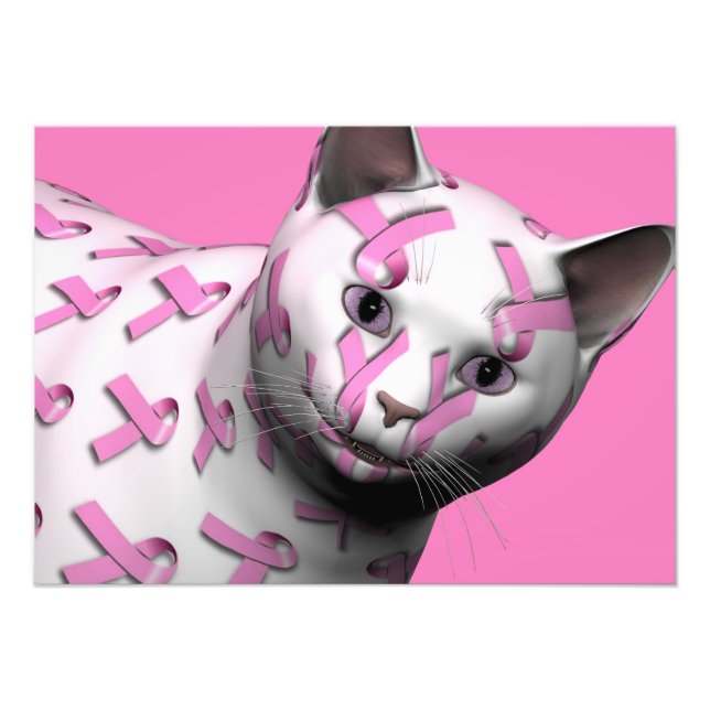 Foto Gato de Fita Rosa (Frente)
