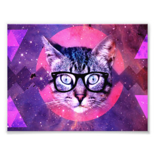 Foto Gato de hipster roxo