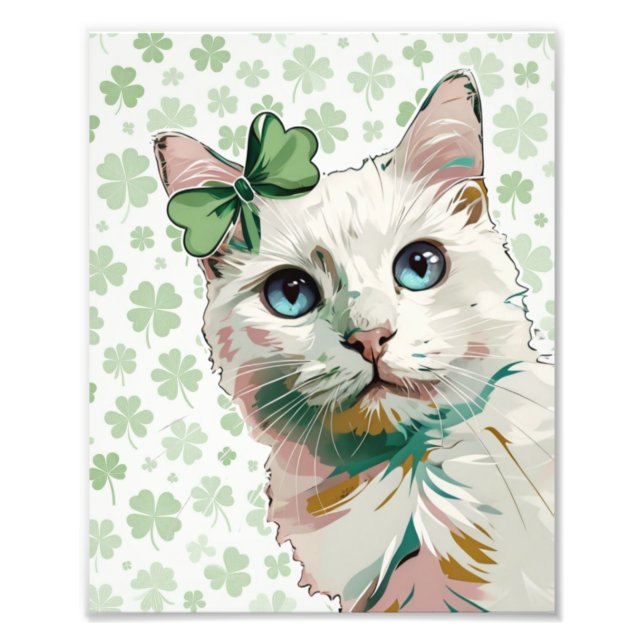 Foto Gato de Shamrock com olhos azuis (Frente)
