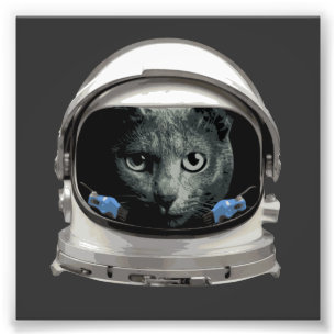 Foto Gato do astronauta do capacete de espaço