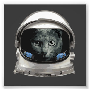 Foto Gato do Astronauta do Capacete Espacial