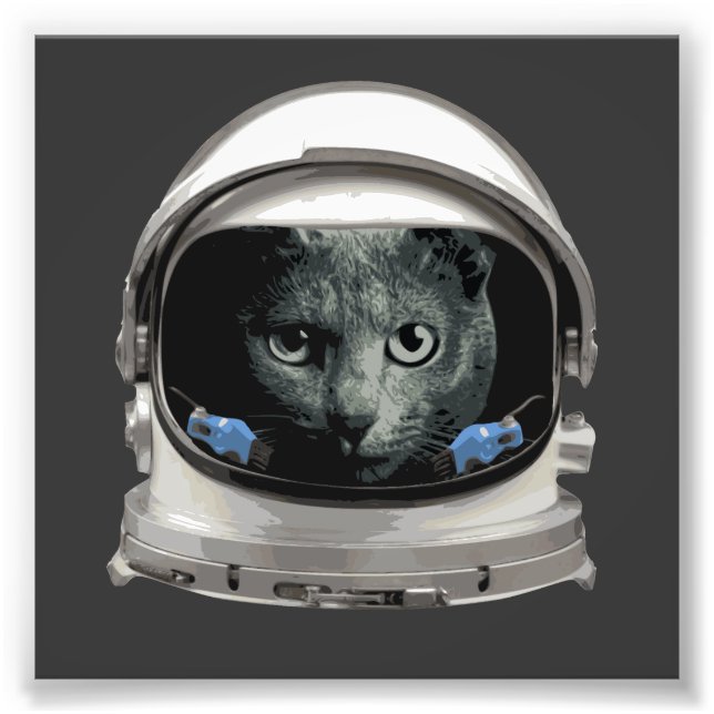 Foto Gato do Astronauta do Capacete Espacial (Frente)