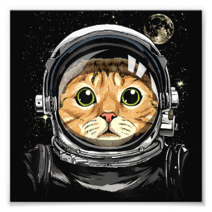 Foto Gato do Espaço Sideral Kitty Astronauta Animal Fac