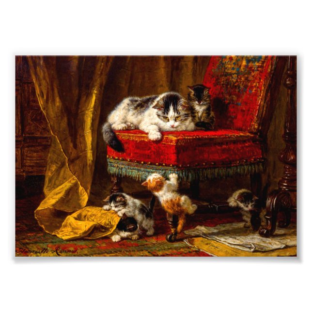 Foto Gato e Gatinhos Brincando com Cadeira (Frente)