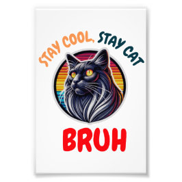 Foto Gato Engraçado Bruh Legal Gato Viba Bruh