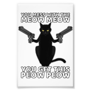 Foto Gato Engraçado Com Armas Que Você Mete Com O Meo