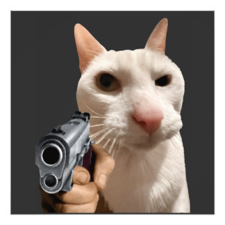 Foto Gato Legal Com Arma Meme Divertido