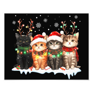 Foto Gato Luz de Natal Rena Santa Gato de Natal
