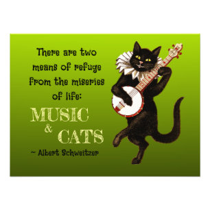 Foto Gato Musical Fofo Dois Meios de Refúgio Schweitzer
