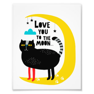 Foto Gato na lua