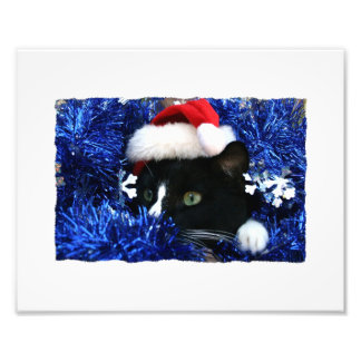 Foto Gato Negro, chapéu de Papai Noel, mochila azul, pr