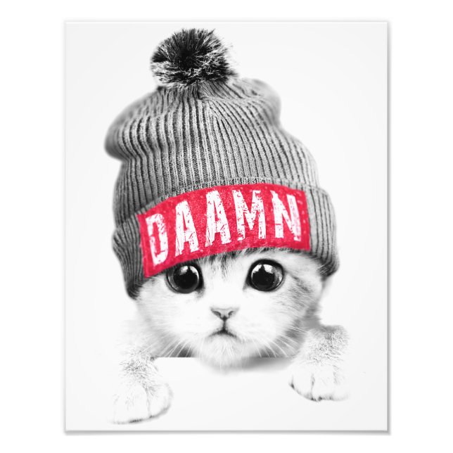 Foto Gato Pequeno (Frente)