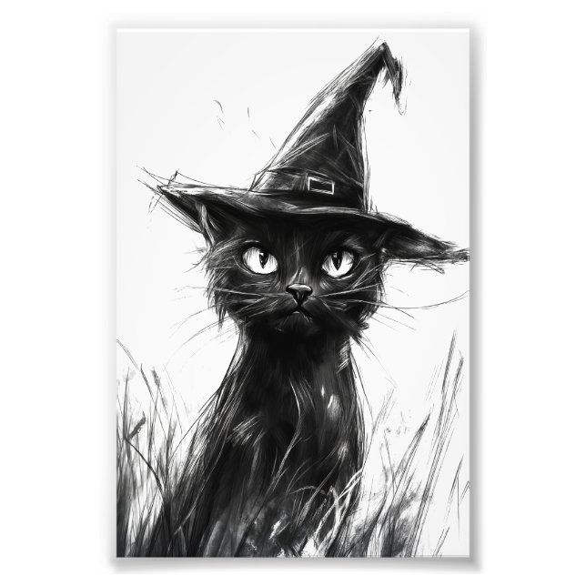 Foto Gato Preto (Papel Fotográfico) (Frente)